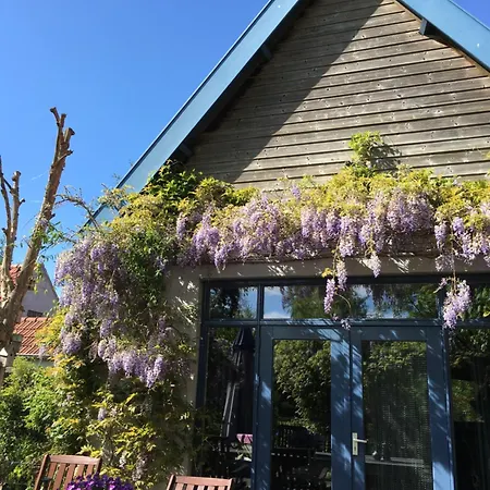 B&B De Lotus-2